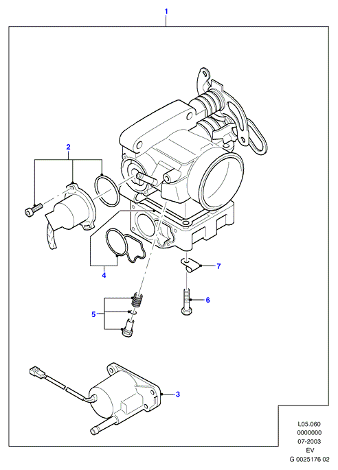 Throttle Assy, Petrol Engines