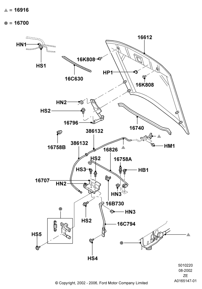20D - Hood and Related Parts, Base, With V6 Appearance Group; 05/AUG/2002-12/MAY/2004