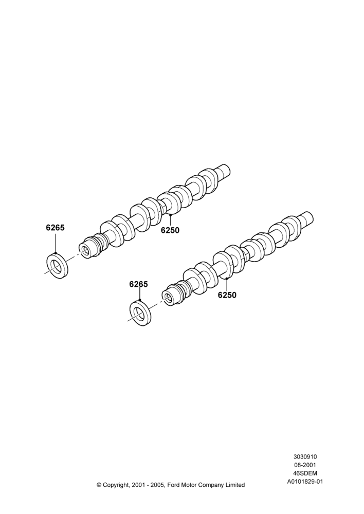 Camshaft, 4.6L DOHC V8 EFI, Cobra