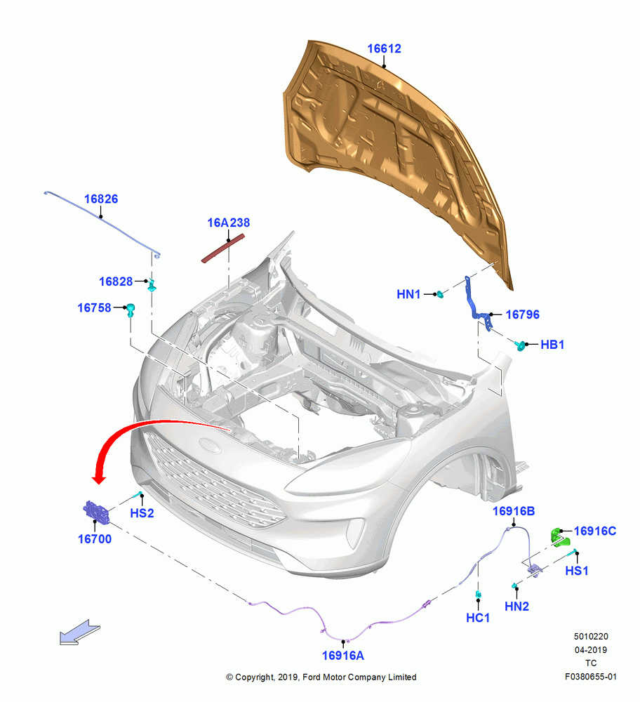20 - Hood and Related Parts; 19/AUG/2019