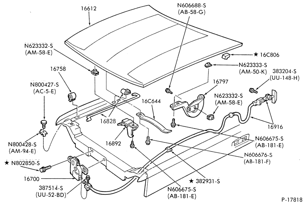 166 - FENDERS AND HOODS-Hood