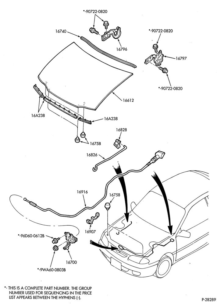 166 - FENDERS AND HOODS-Hood
