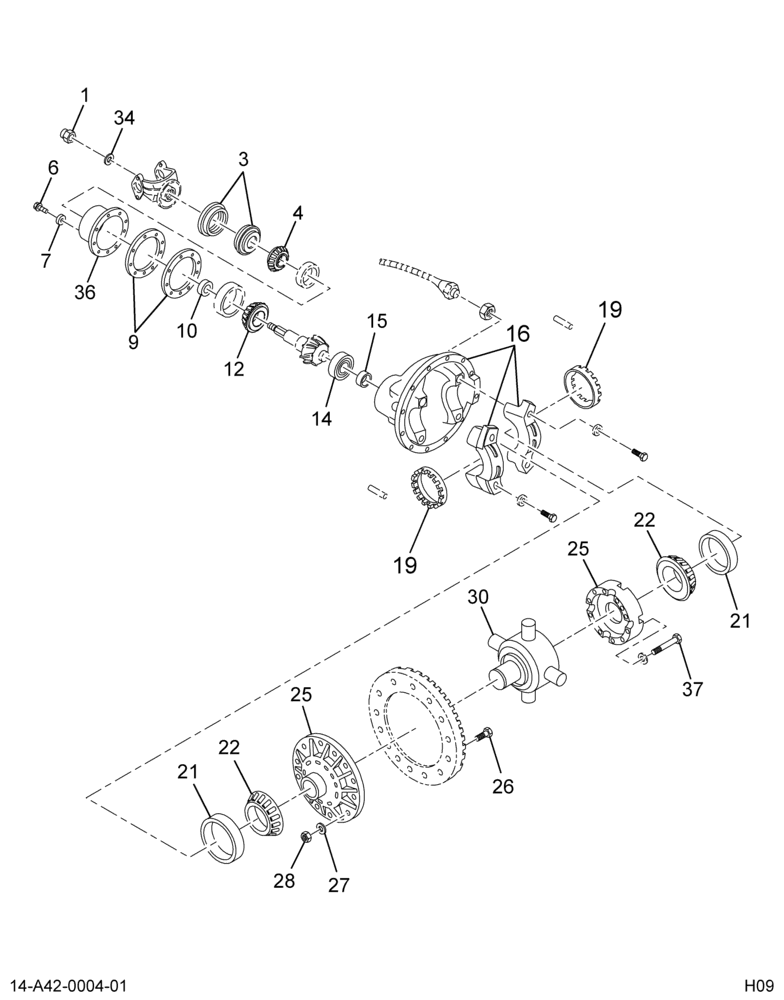 ....DIFF CARR 21K HYP N/SPN STD (Intl. 2602248C91)