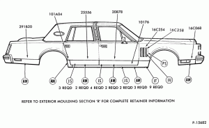 LOWER BODY SIDE MOULDINGS - BODY TYPE 54