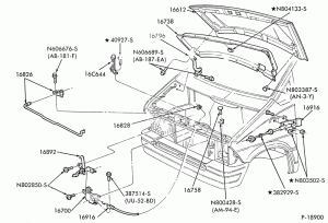 Крышка, дверь багажника