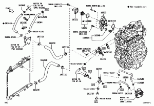 Радиатор, шланги