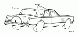 BODY 54 - STRIPES - SIGNATURE SERIES