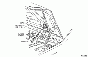 LAMPS-Luggage compartment lamp