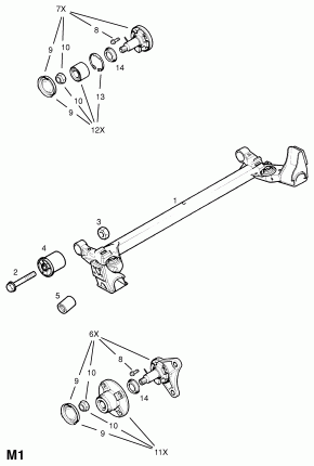ЗАДНЯЯ СТУПИЦА