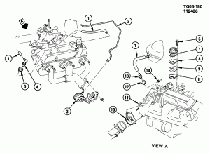 E.G.R. VALVE & VENT TUBES (LT9 /350M)