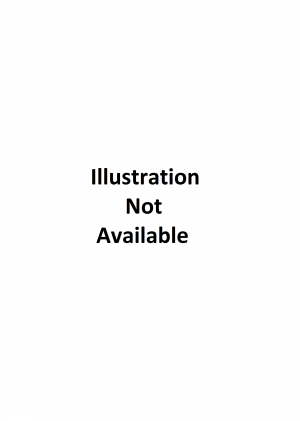 Стартер, составляющие